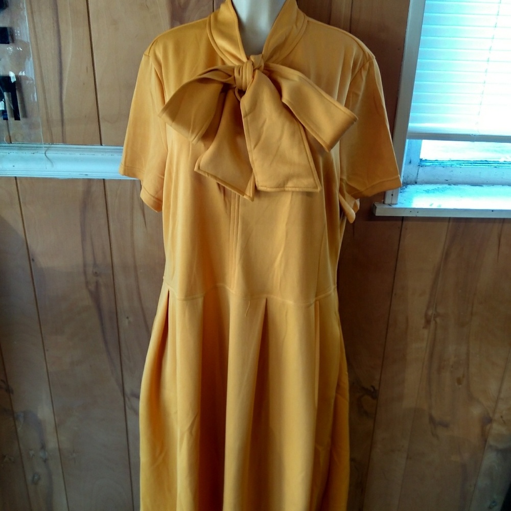 Plus dresses